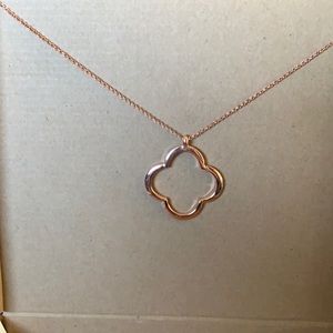 Parklane Rose Gold Necklace and Earrings